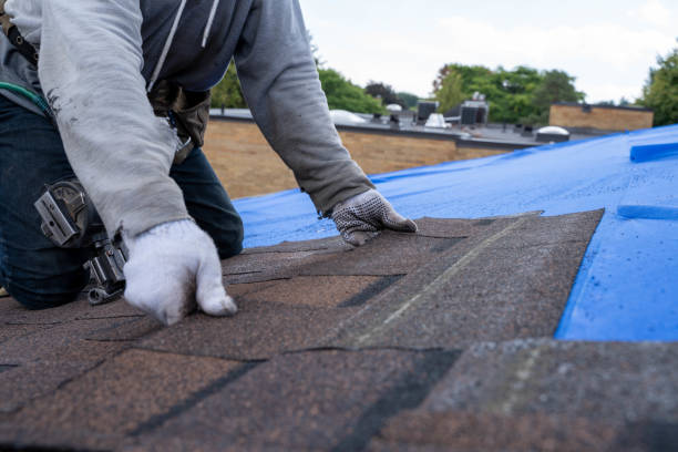 Best Roof Replacement Cost  in Callaway, MD